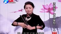 河南坠子《五子登科07》