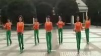 028《竹楼情思》周思萍广场舞