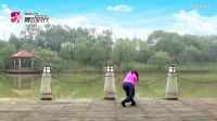 応子广场舞《再唱为了谁》反面