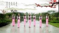 张春丽广场舞《一枝梅》正背表演