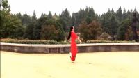 张春丽广场舞《人的命天注定》正背表演与动