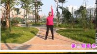 廖弟广场舞《那里的山那里的水》正反教超清