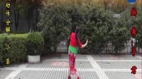 高安子君广场舞《九儿》子君编舞 正面演示 
