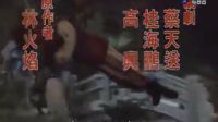 杨丽花歌仔戏《泥马渡康王01》02