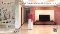 玉珏广场舞 张春丽广场舞《中国书法》