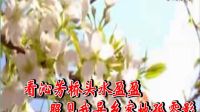 庐剧《葬花》纯伴奏