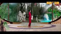 刘荣广场舞《吉祥如意中国梦》含背面动作分