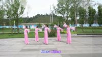 18 广场舞《一枝梅》张春丽老师