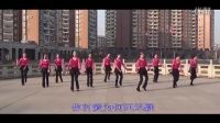 高安子君广场舞《请你让我走进你眼里》标清