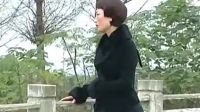 庐剧《流氓无义》3下载