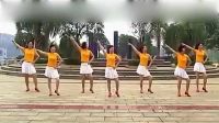 杨艺广场舞广场舞《小苹果》下载