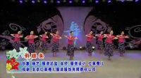 杨艺艳艳广场舞《新疆美》下载