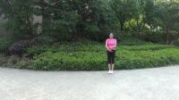 杭州女人花芳舞队杨艺广场舞《存在》下载