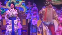 缙云志达婺剧团《百寿图》20170413