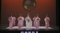 崑曲 牡丹亭《遊园惊梦 》华文漪 王泰褀 史