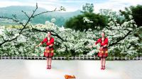 天津蓟州区桦子广场舞《梨山痴情花》