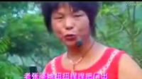 河南坠子《搬龙角》