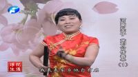 河南坠子《刘公传奇01》唱段