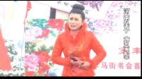 河南坠子《打蛮船》高清