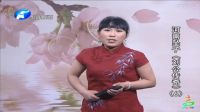 河南坠子《刘公传奇》胡银花