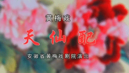 黄梅戏《天仙配》袁媛 梅院军 王霞下载