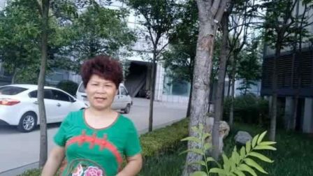 枣庄褚庆铃莲花落《十等女人》