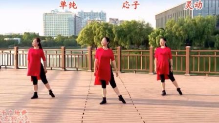 応子广场舞《不忘初心》含背面动作分解教学