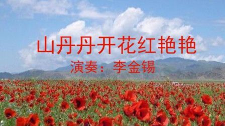 陕北大唢呐《山丹丹开花红艳艳》高清