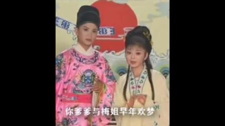安徽地方戏曲黄梅戏《错妻》精选