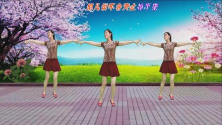 平淡广场舞《男神女神都风采》编舞玲玲