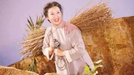 蒲剧《山村母亲》
