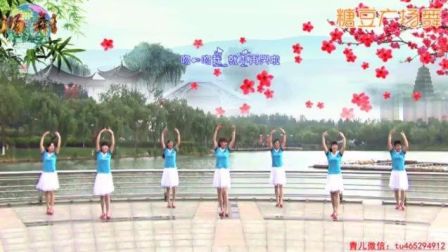 青儿广场舞《断发情歌》三步拉伸舞蹈 含动