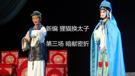 婺剧《狸猫换太子3》新编版 201706