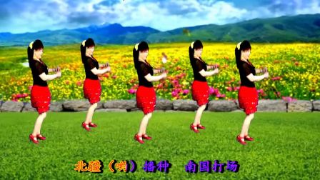 2017吕芳广场舞《在希望的田野上》老歌好学