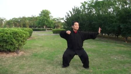 韩晋文先生演练八段锦