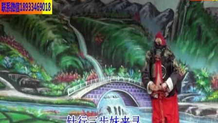 五华木偶戏《猪八戒娶老婆》之孙猴子下凡变
