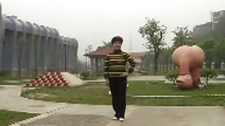 广场舞教学 第四套 曲九 桃花开