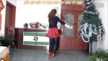 金芙蓉广场舞《小菊花》高清