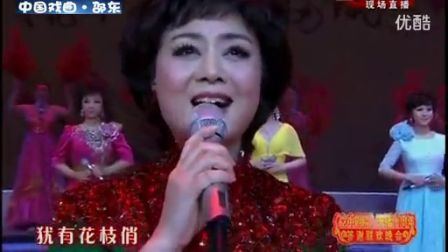 京剧《卜算子 咏梅》