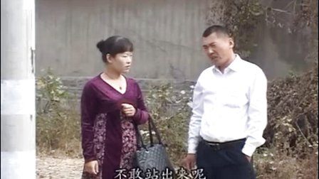 婴栗花第四集（孙桂华 王伟）沂蒙小调  666下载