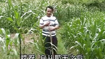 云南山歌剧【兄弟换老婆】全集_