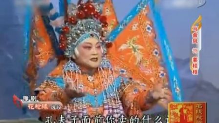 马金凤 豫剧 经典唱段《一挂二花打金枝》