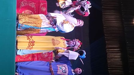 白字戏《金叶菊》