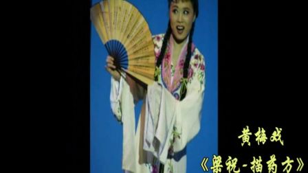 黄梅戏《梁祝》《描药方》吴琼演唱