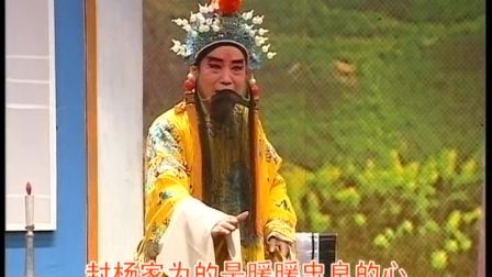 边树森丝弦演唱《金沙滩》《到杨府祭忠魂》