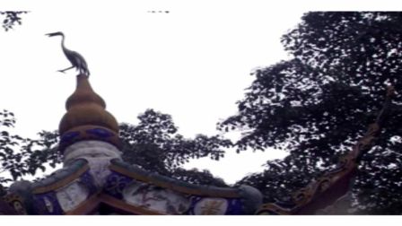 道情