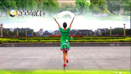 广场舞教学《我愿做你的雪莲》