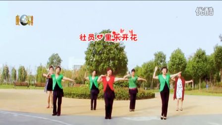 广场舞教学《社员都是向阳花》