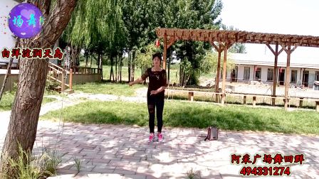 2017简单鬼步舞《天涯情歌》32步 阿采广场