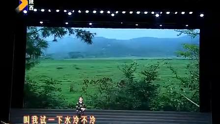 秦腔全本《忠保国》又名《二进宫》西安秦腔剧院下载